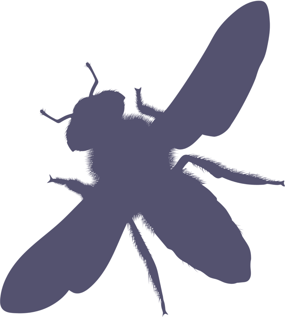 Pest silhouette of a fly